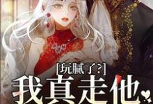 完结版玩腻了？我真走他又不高兴在哪免费看，阮柠贺宴川小说在线阅读-筷子文学
