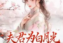 跪求主角是宋絮晚季墨阳的小说书名叫什么-筷子文学