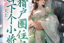 求助这本天上掉下个小娇娇，猎户圈住宠小说在哪里可以看完结版-筷子文学