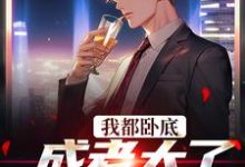 我都卧底成老大了,还不收网?大结局,陆乘风周翰林小说无广告阅读-筷子文学