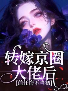 转嫁京圈大佬后，前任悔不当初免费阅读(苏婉禾司北琛)小说免费读最新章节