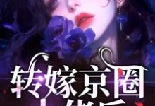 完结版转嫁京圈大佬后,前任悔不当初在哪免费看,苏婉禾司北琛小说在线阅读-筷子文学