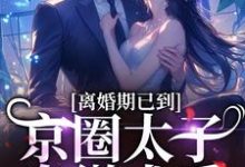 离婚期已到！京圈太子卑微求爱完结版沈青瓷席星野免费阅读大结局-筷子文学