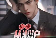 抗战：从淞沪保卫战开始（叶青山）最新章节免费在线阅读-筷子文学