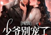 完结版有刺在哪免费看，南潇陈砚小说在线阅读-筷子文学