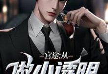 官途：从做小透明开始精彩章节阅读(何涛)免费阅读大结局-筷子文学