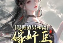 怒撕渣男和离，嫁奸臣高攀不起免费阅读，沈蕴之宋窈窈大结局无弹窗-筷子文学