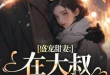 盛宠甜妻：在大叔怀里沦陷小说资源求分享，盛宠甜妻：在大叔怀里沦陷安姩盛怀安在线阅读-筷子文学