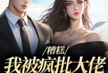 求助这本糟糕，我被疯批大佬缠上了！小说在哪里可以看完结版-筷子文学