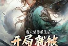诸天至尊重生后,开局就被频频挑衅(顾云)最新章节在线阅读-筷子文学