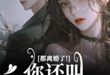求助这本都离婚了!你还叫我夫人干嘛小说在哪里可以看完结版-筷子文学
