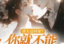 主角是洛言赵晏州的小说渣夫总回家？你就不能找找新欢在哪免费看-筷子文学