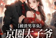 被渣男辜负，京圈太子爷化身治愈系免费阅读(沈颜季辞渊)小说免费读最新章节-筷子文学