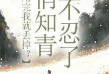 小说利用完我就丢掉?俏知青她不忍了主角许语嫣叶修远免费阅读-筷子文学