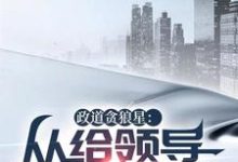 政道贪狼星：从给领导平反开始（主角陈诚楚瑜清）完结版免费阅读-筷子文学