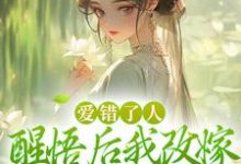 爱错了人，醒悟后我改嫁权王你哭啥无弹窗唐瑈嘉秦斯珩最新章节列表-筷子文学