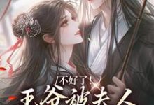 不好了！王爷被夫人驯成恋爱脑了免费阅读，叶流西穆景川大结局无弹窗-筷子文学