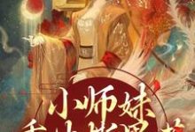 凤锦许墨小说的结局在哪可以看,小师妹重生撕黑莲,炸翻宗门免费阅读完结版-筷子文学