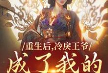 重生后,冷戾王爷成了我的小奶狗(云想司空琰)最新章节在线阅读-筷子文学