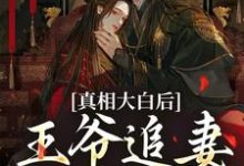 萧锦笙鸿枫最新章节真相大白后，王爷追妻火葬场了免费阅读-筷子文学