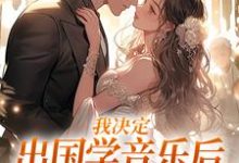 宋棉贺淮川最新章节列表我决定出国学音乐后,大律师后悔了免费阅读-筷子文学