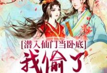 宋时卿谢寂玉小说免费阅读最新章节列表，潜入仙门当卧底，我偷了谪仙的心小说在线看-筷子文学