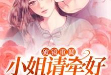 宋一伟林雨晴最新章节破镜重圆：小姐请牵好我的余生免费阅读-筷子文学