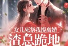 顾星瑶霍长临在线阅读，女儿死祭我提离婚，渣总跪地求别分小说完结版章节-筷子文学