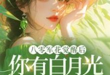 八零军花觉醒后，你有白月光我改嫁热门小说(宋佳茵杜知知)在线阅读无弹窗-筷子文学