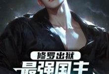 修罗出狱：最强国主身份震撼世界大结局，叶枫小说无广告阅读-筷子文学