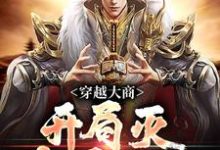 穿越大商,开局灭十万叛军大结局,殷寿姬发小说无广告阅读-筷子文学