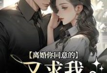 小说离婚你同意的，又求我复婚干什么主角沈青漓周晏辰免费阅读-筷子文学