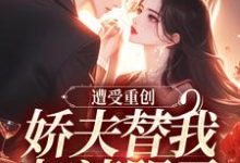 小说遭受重创，娇夫替我扫清阴霾（萧溪羽沈墨）最新章节在哪看-筷子文学