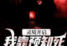 跪求主角是陈冥肖洁的小说书名叫什么-筷子文学