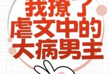 为了活命，我撩了虐文中的大病男主（林瑧陆厌）最新章节免费阅读-筷子文学