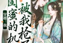 穿越:我闺蜜的机缘被我抢了免费阅读,梅久大结局无弹窗-筷子文学