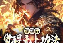 穿越后,觉醒无上功法的我要复仇了(宋终)最新章节免费阅读-筷子文学