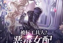 完结版被标工具人？恶毒女配甩男主求自由在哪免费看，宋以宁陆明聿小说在线阅读-筷子文学