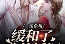 精彩章节阅读一场危机，缓和了我的婚姻(南迦北铮)免费小说在线看-筷子文学