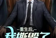 重生后，我撕毁了离婚协议书（陆泽白糯）完结版免费阅读-筷子文学