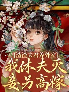 渣渣夫君养外室，我休夫灭妾另高嫁（萧时衍叶宛卿）最新章节免费在线阅读