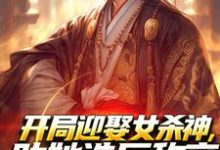 开局迎娶女杀神，助她造反称帝！无弹窗萧阳萧君临最新章节列表-筷子文学