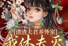 小说渣渣夫君养外室,我休夫灭妾另高嫁主角叶宛卿萧时衍免费阅读-筷子文学