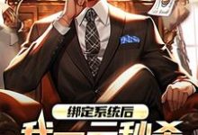 小说绑定系统后，我一元秒杀一辆奔驰主角林帆唐若冰免费阅读-筷子文学
