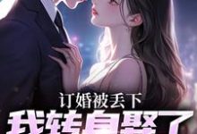 跪求主角是江辰苏密的小说书名叫什么-筷子文学