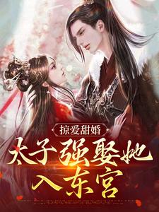 掠爱甜婚：太子强娶她入东宫在线看，贺玥宁如颂小说大结局在哪免费看