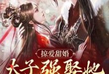 掠爱甜婚：太子强娶她入东宫小说资源求分享，掠爱甜婚：太子强娶她入东宫贺玥宁如颂在线阅读-筷子文学