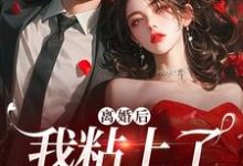 离婚后,我粘上了那位大佬(舒愿陆骁)最新章节在线阅读-筷子文学