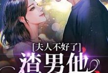 夫人不好了!渣男他要求爱免费阅读,黎岁霍砚舟大结局无弹窗-筷子文学
