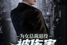 跪求主角是陆战苏瑾的小说书名叫什么-筷子文学